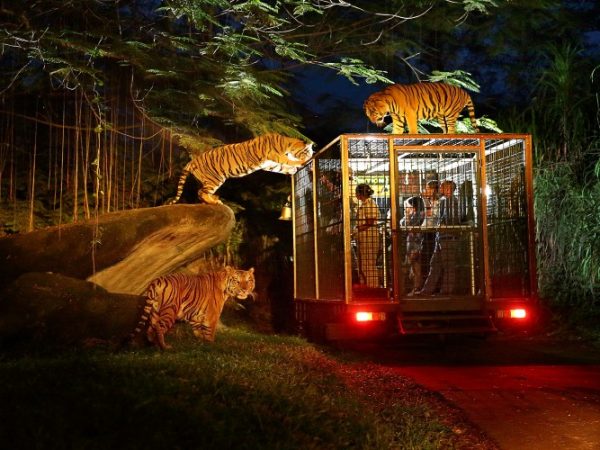Bali Safari & Marine Park